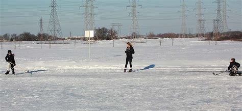 rolling meadows ice skating