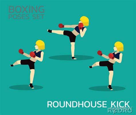 roundhouse kick