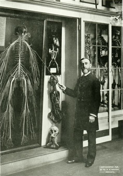 rufus b weaver, Cole nervous system harriet aug. The nervous system of harriet cole