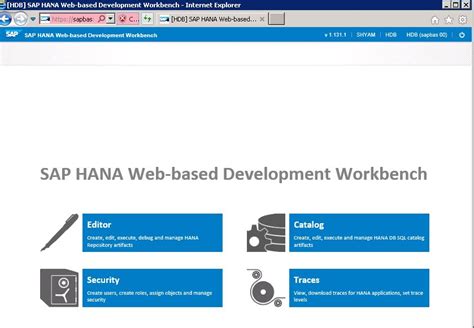 Sap Hana Web Based Development Workbench Catalog