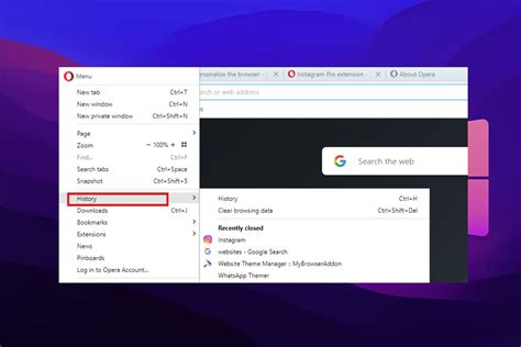 save opera browser history folder location, Browser window