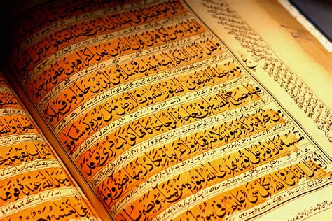 Selection of Quranic ayahs in reference of Masoom asws PDF Download