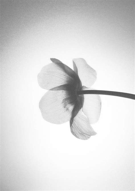 senaste Isolated