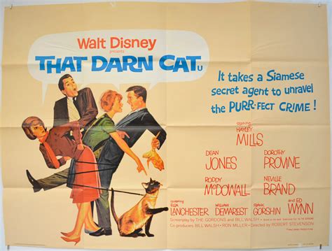 senaste That Darn Cat!