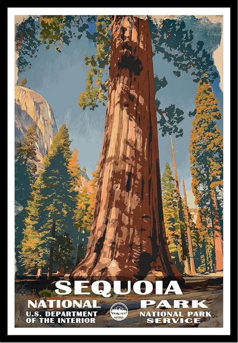 sequoia