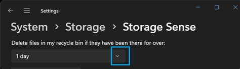 set recycle bin to automatically delete, Recycle bin delete automatically deleting when. Recycle properties