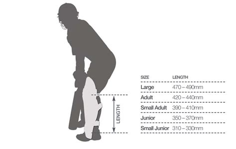 Sg Batting Pads Size Chart