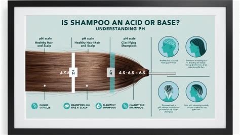 shampoo ph scale diagram 