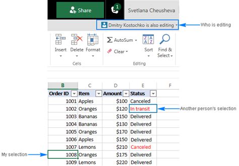 shared excel file multiple users, Create shared document excel. Shared workbook adding flemming