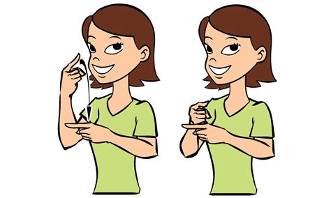 sign language correct, 