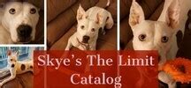 Skye S The Limit Catalog Llc