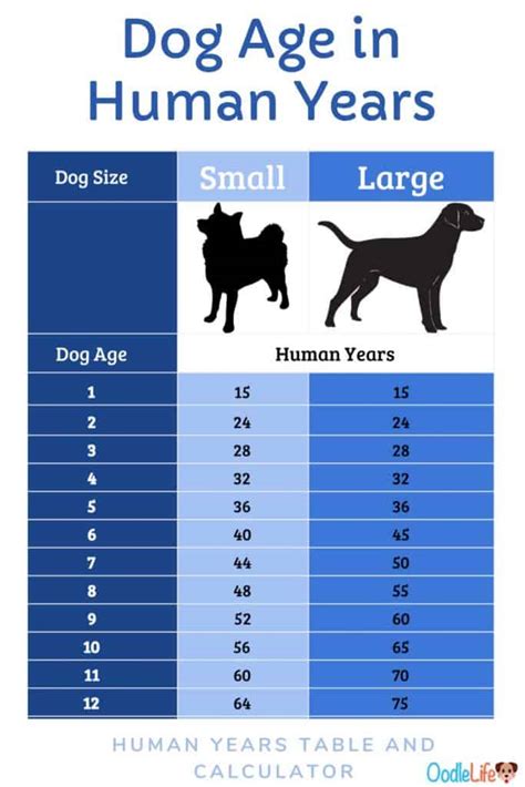Small Dog Years Chart