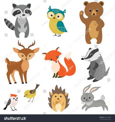 small forest animals no background, Forest animals transparent background png clipart