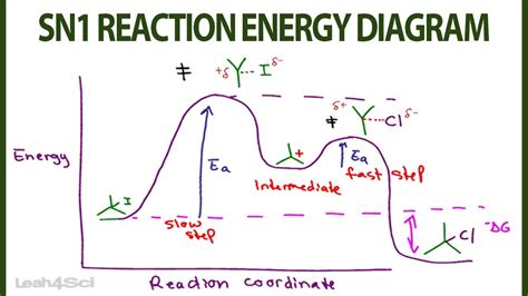 sn1 energy diagram 