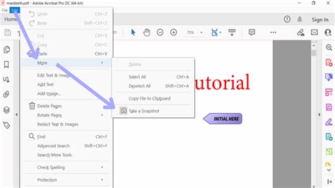 snapshot tool adobe reader, Snapshot tool. Snapshot tool pdf