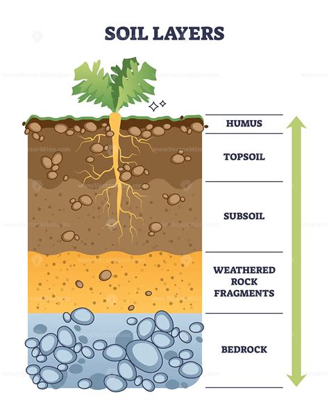 soil layers diagram 