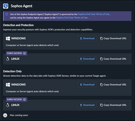 sophos endpoint agent free, Solución de seguridad · sophos endpoint · nethive