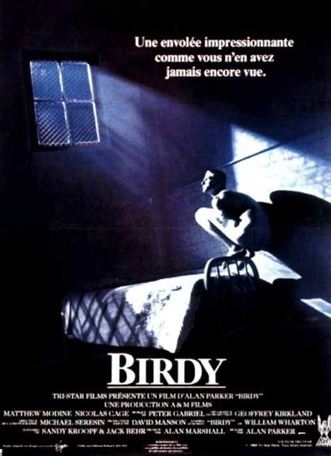 sortie Birdy