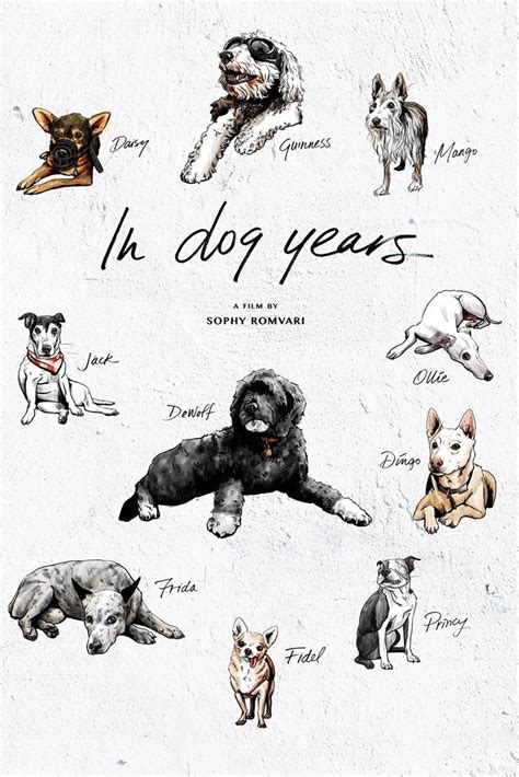 sortie Dog Years
