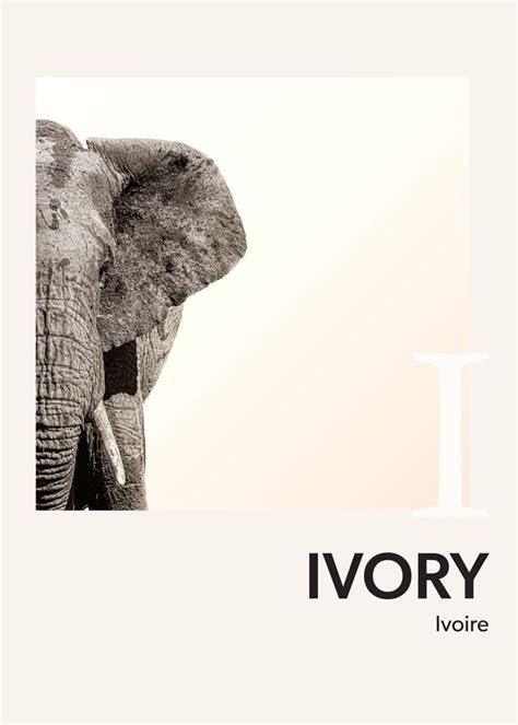 sortie Ivory