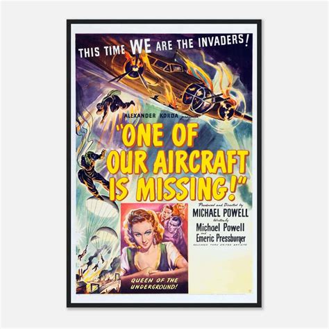 sortie One of Our Aircraft Is Missing