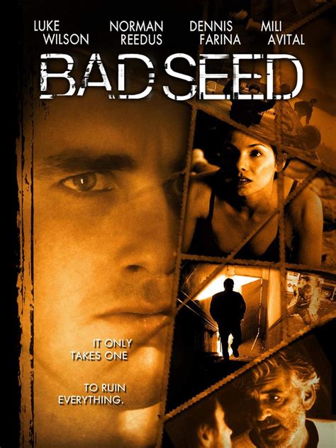 sortie The Bad Seed