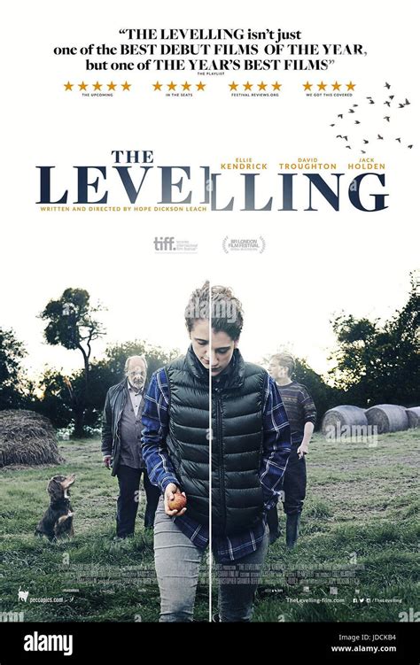sortie The Levelling