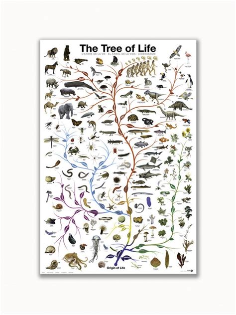 sortie The Tree of Life