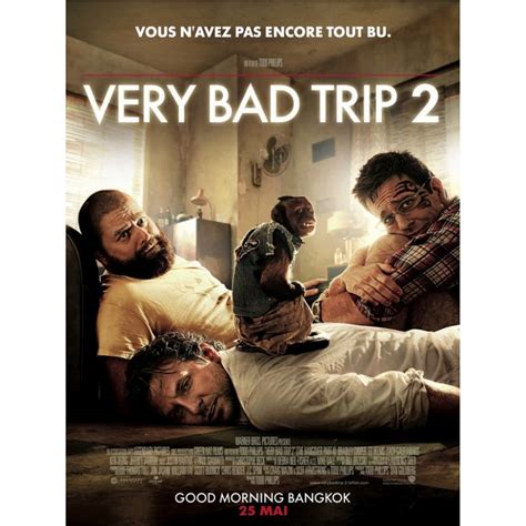 sortie Very Bad Trip 2