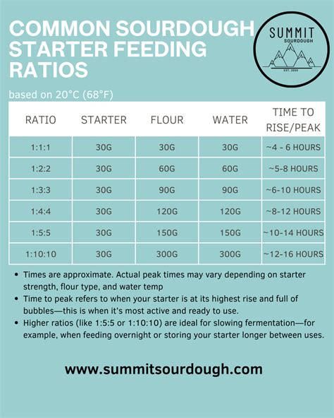 Sourdough Starter Ratios Chart