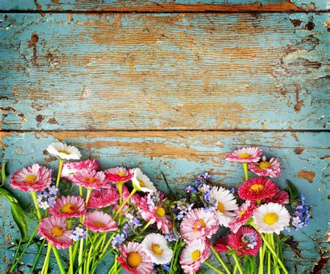 spring flowers on rustic wood background, Colorful spring flowers on a rustic wooden background stock photo