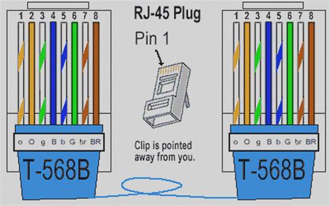 standard cat 5 wiring plug 