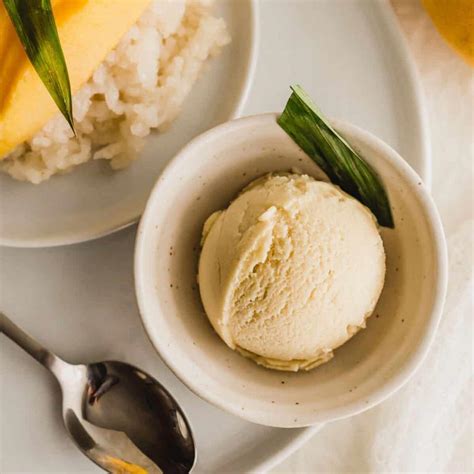 sticky rice with ice cream