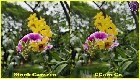 stock google camera, Google camera port: photo comparison