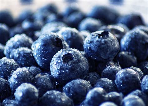 strömmande Blueberry