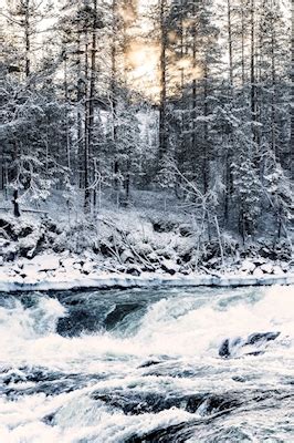strömmande Border River