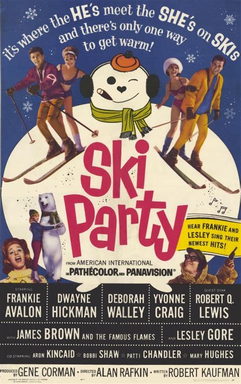 strömmande Ski Party