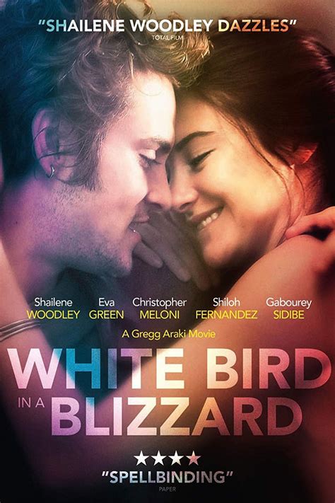 strömmande White Bird in a Blizzard