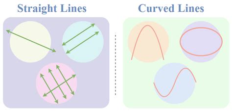 straight line and curve in the middle, Types of lines