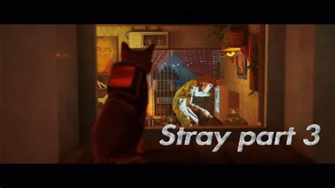 Stray Walkthrough Momo