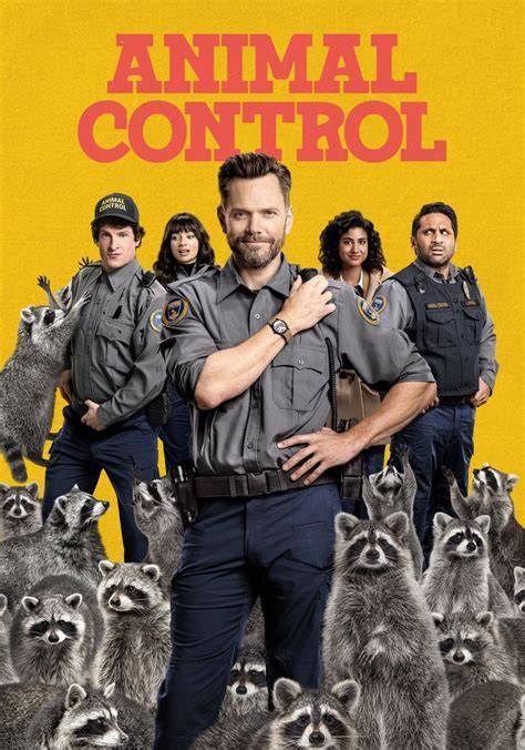 streaming Animal