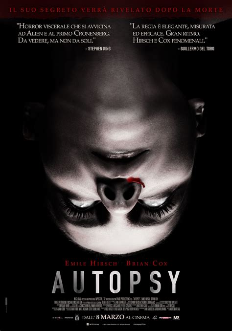 streaming Autopsy