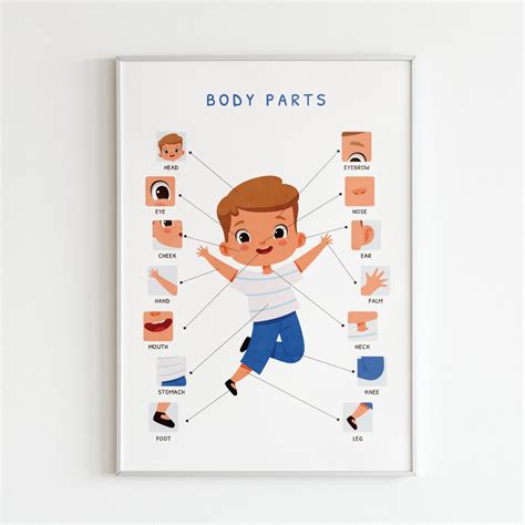 streaming Body Parts