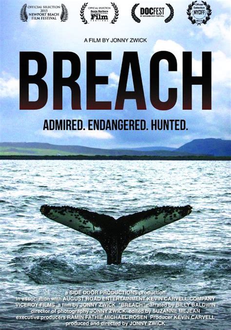 streaming Breach