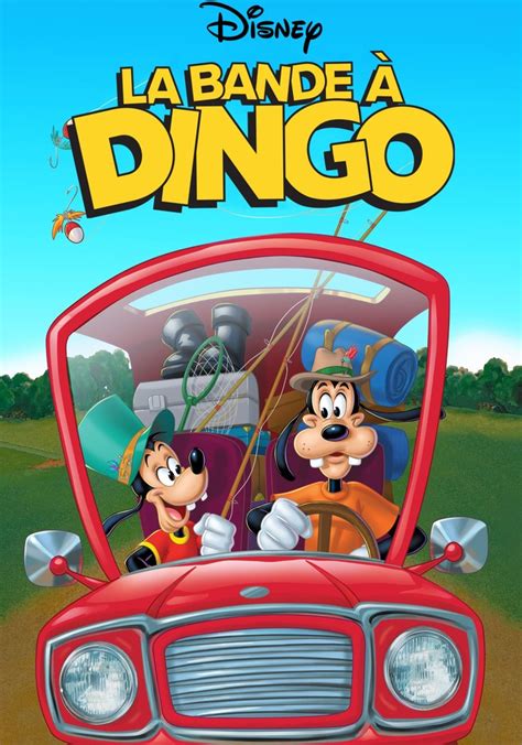 streaming Dingo