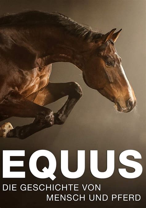 streaming Equus
