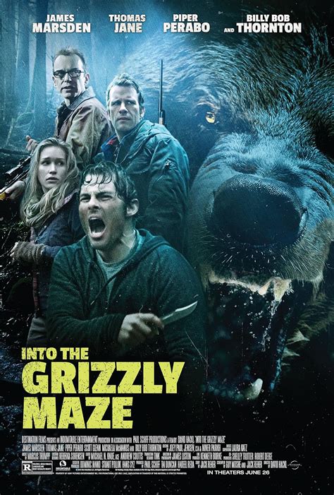 streaming Into the Grizzly Maze