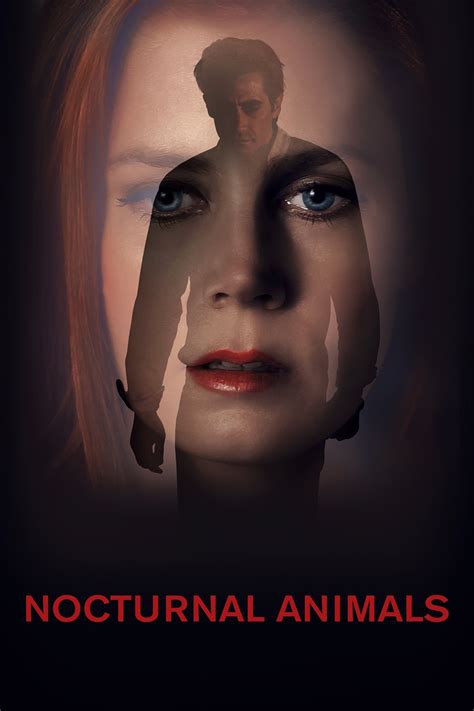 streaming Nocturnal Animals