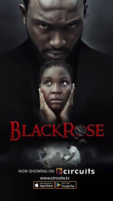 streaming The Black Rose