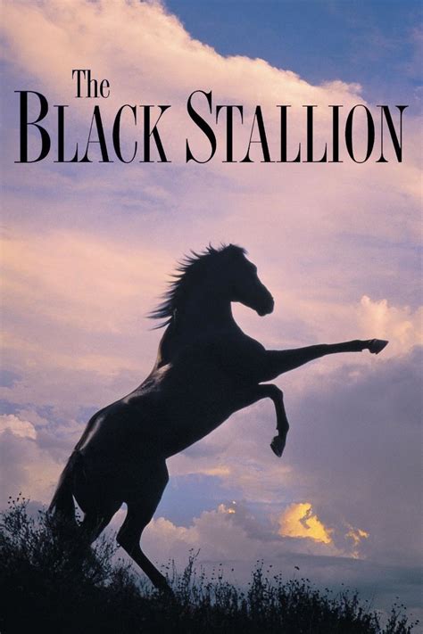 streaming The Black Stallion